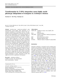  Xiaochun Ge, Hai Wang, Kaiming Cao — Transformation by T-DNA integration causes highly sterile phenotype independent of transgenes in Arabidopsis thaliana