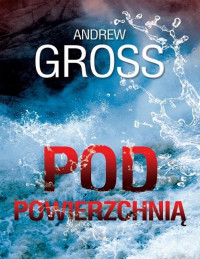 Andrew Gross — Pod powierzchnią