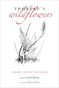 Henry D. Thoreau — Thoreau's Wildflowers