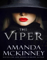 Amanda McKinney — The Viper: A Broken Ridge Novel