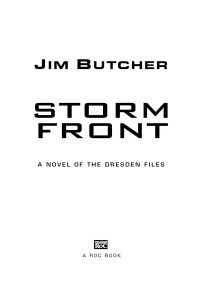 Jim Butcher — Storm Front (The Dresden Files, Book 1)