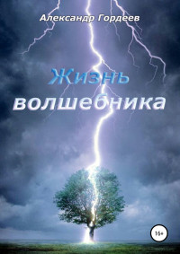 Александр Гордеев — Жизнь волшебника