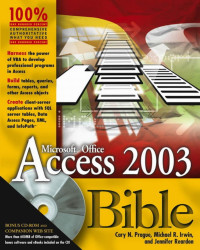 Cary N. Prague, Michael R. Irwin & Jennifer Reardon — Access 2003 Bible