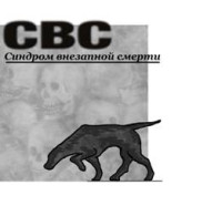 Бабулин Константин Леонидович — СВС (Синдром Внезапной Смерти)