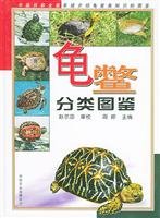 周婷 — 龟鳖分类图鉴（部分1）