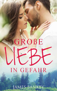 James Bankey [Bankey, James] — Große Liebe in Gefahr (German Edition)