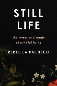 Rebecca Pacheco — Still Life