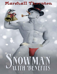 Marshall Thornton [Thornton, Marshall] — Snowman With Benefits