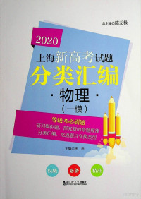 林燕 — 2020上海新高考试题分类汇编 物理（一模）