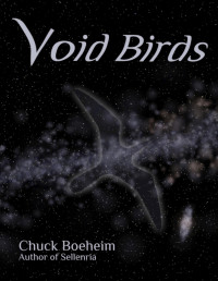 Chuck Boeheim — Void Birds
