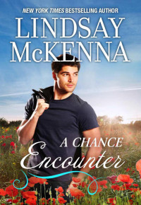 McKenna, Lindsay — A Chance Encounter