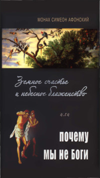 Монах Симеон Афонский — Земное счастье и небесное блаженство или почему мы не Боги