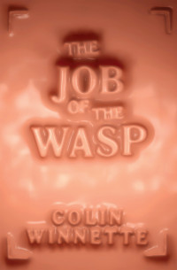Colin Winnette — The Job of the Wasp
