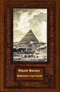 Юрий Валин — Шакалы пустыни