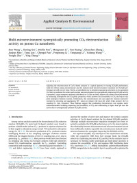 Dan Wang — Multi-microenvironment synergistically promoting CO2 electroreduction activity on porous Cu nanosheets