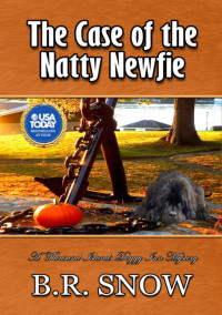 B R Snow — The Case of the Natty Newfie