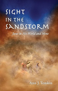Ann J. Temkin [Temkin, Ann J.] — Sight in the Sandstorm: Jesus in His World and Mine