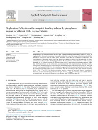 Jingjing Liu — Single-atom CoN4 sites with elongated bonding induced by phosphorus doping for efficient H2O2 electrosynthesis