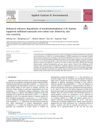 Feilong Gao — Enhanced reductive degradation of tetrabromobisphenol A by biochar supported sulfidated nanoscale zero-valent iron: Selectivity and core reactivity