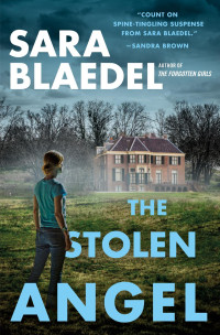 Sara Blaedel — The Stolen Angel