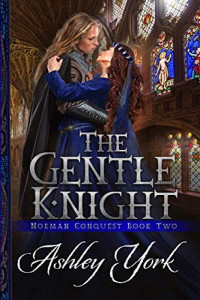 Ashley York [York, Ashley] — The Gentle Knight