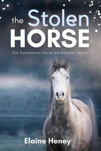Elaine Heney — The Stolen Horse - Book 4 in the Connemara Horse Adventure Series for Kids | The Perfect Gift for Children age 8-12 (Connemara Adventures)
