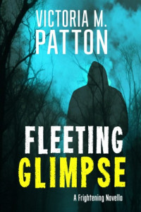 Victoria M. Patton  — Fleeting Glimpse