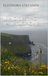 Eleonora Stefanini — Il mio destino ha il tuo nome (Italian Edition)