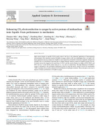 Zhaojun Min — Enhancing CO2 electroreduction to syngas by active protons of imidazolium ionic liquids: From performance to mechanism