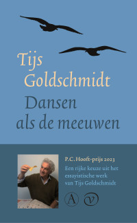 Tijs Goldschmidt — Dansen als de meeuwen