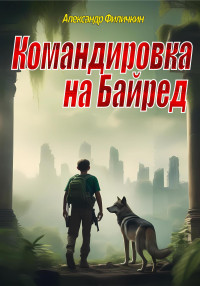 Александр Тимофеевич Филичкин — Командировка на Байред