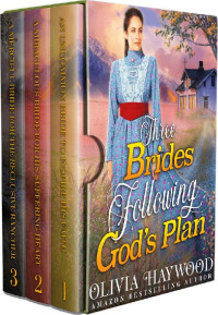 Olivia Haywood — Three Brides Following God’s Plan Box Set