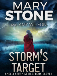 Stone, Mary-Wilson, Amy — Amelia Storm 11-Storm's Target