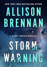 Storm Warning — Allison Brennan