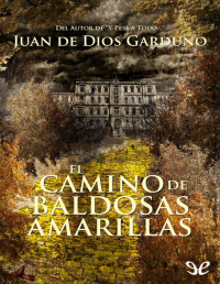 Juan de Dios Garduño — El Camino De Baldosas Amarillas