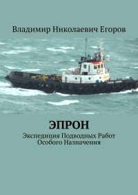 Владимир Николаевич Егоров — ЭПРОН