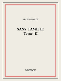 Hector Malot [Malot, Hector] — Sans famille II