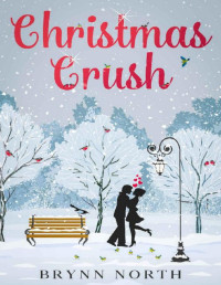 Brynn North [North, Brynn] — Christmas Crush: A Contemporary Romance Novella (East Village Christmas)