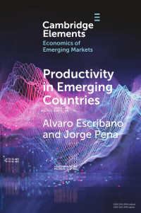 Alvaro Escribano & Jorge Pena — Productivity in Emerging Countries