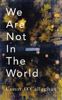 Conor O'Callaghan [O'Callaghan, Conor] — We Are Not in the World