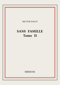Hector Malot — Sans famille T2