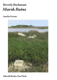 Amelia Groom — Beverly Buchanan: Marsh Ruins