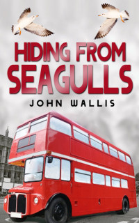 John Wallis — Hiding From Seagulls