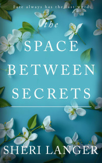 Sheri Langer — The Space between Secrets