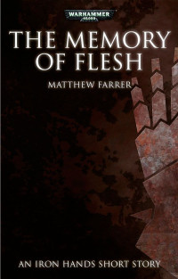 Matthew Farrer — The Memory of Flesh