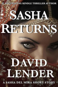 David Lender  — Sasha Returns