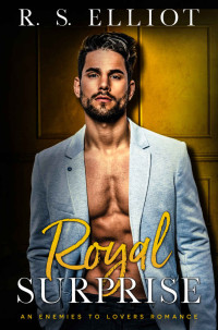 Elliot, R. S. — Royal Surprise: An Enemies to Lovers Secret Baby Romance (The Billionaire's Secret Book 5)