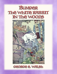 George Ethelbert Walsh [Walsh, George Ethelbert] — BUMPER THE WHITE RABBIT IN THE WOODS - Book 2 in the Bumper the White Rabbit Series