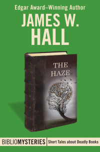James W. Hall — The Haze (BiblioMystery 29)