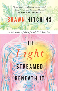Shawn Hitchins — The Light Streamed Beneath It